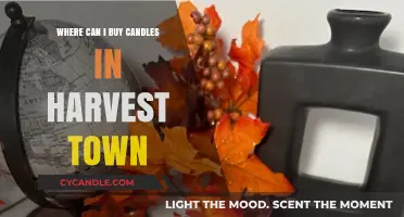 Discover the Best Shops to Buy Candles in Harvest Town