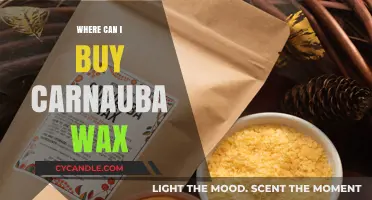 Where to Buy Carnauba Wax: Top Retailers and Online Sources