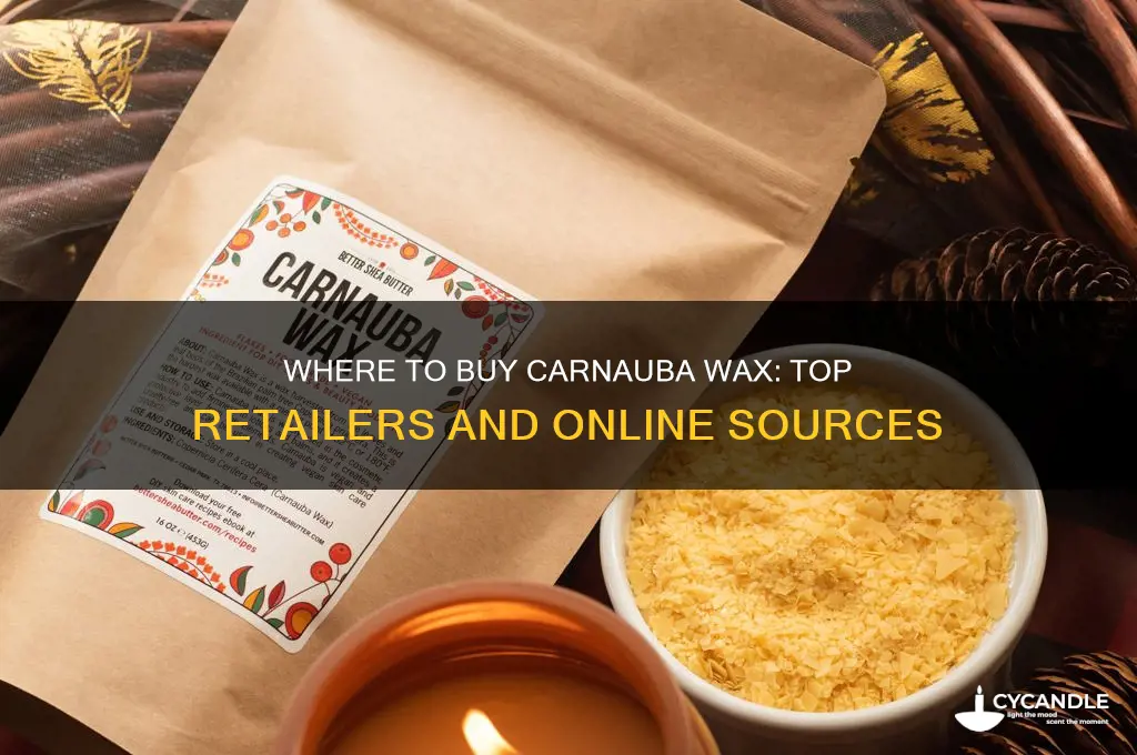 where can i buy carnauba wax