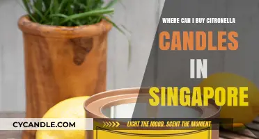 Best Places to Buy Citronella Candles in Singapore for Outdoor Comfort