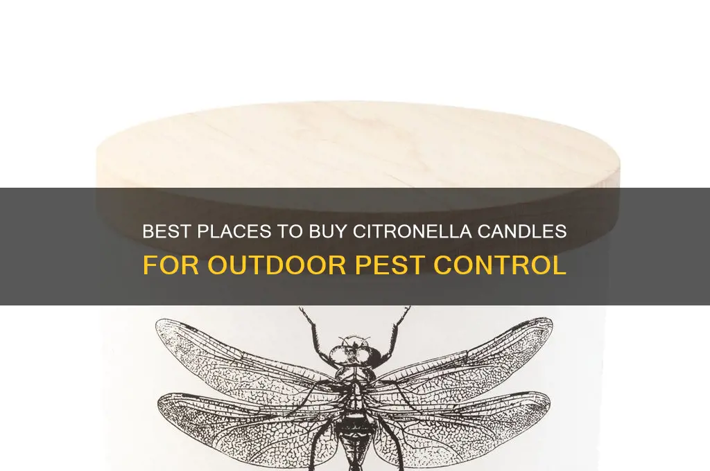 where can i buy citronella candles