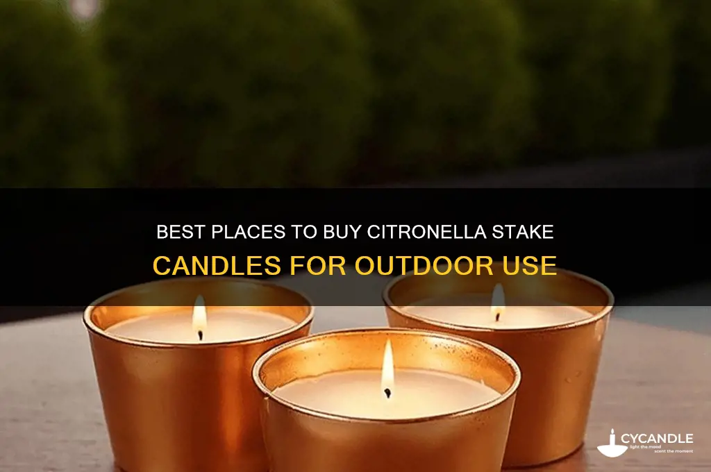 where can i buy citronella stake candles