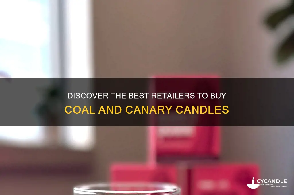 where can i buy coal and canary candles