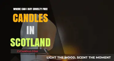 Discover Scotland's Best Cruelty-Free Candles: Top Shops and Brands