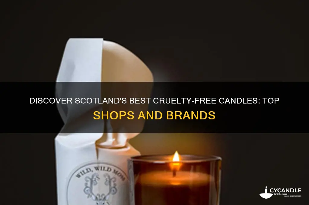 where can i buy cruelty free candles in scotland