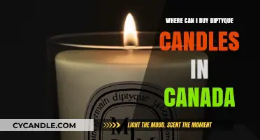 Where to Buy Diptyque Candles in Canada: Top Retailers