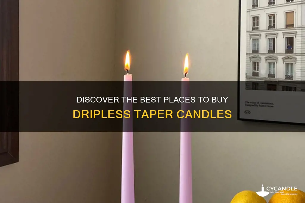 where can i buy dripless taper candles