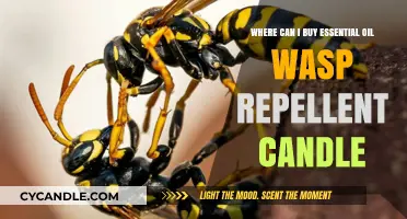 Effective Essential Oil Wasp Repellent Candles: Where to Buy Them
