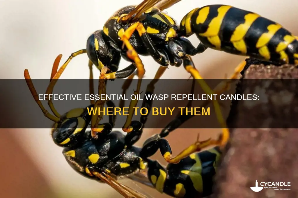 where can i buy essential oil wasp repellent candle