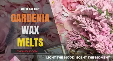 Discover the Best Places to Buy Gardenia Wax Melts Online