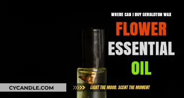 Discover Where to Buy Pure Geraldton Wax Flower Essential Oil