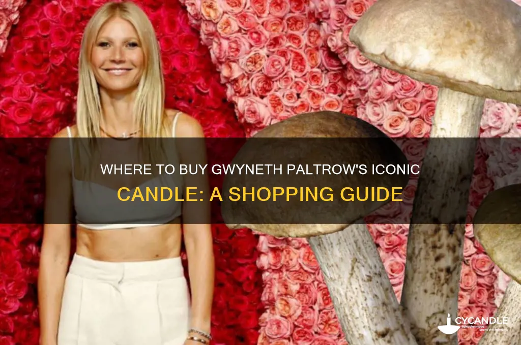 where can i buy gwyneth paltrow candle