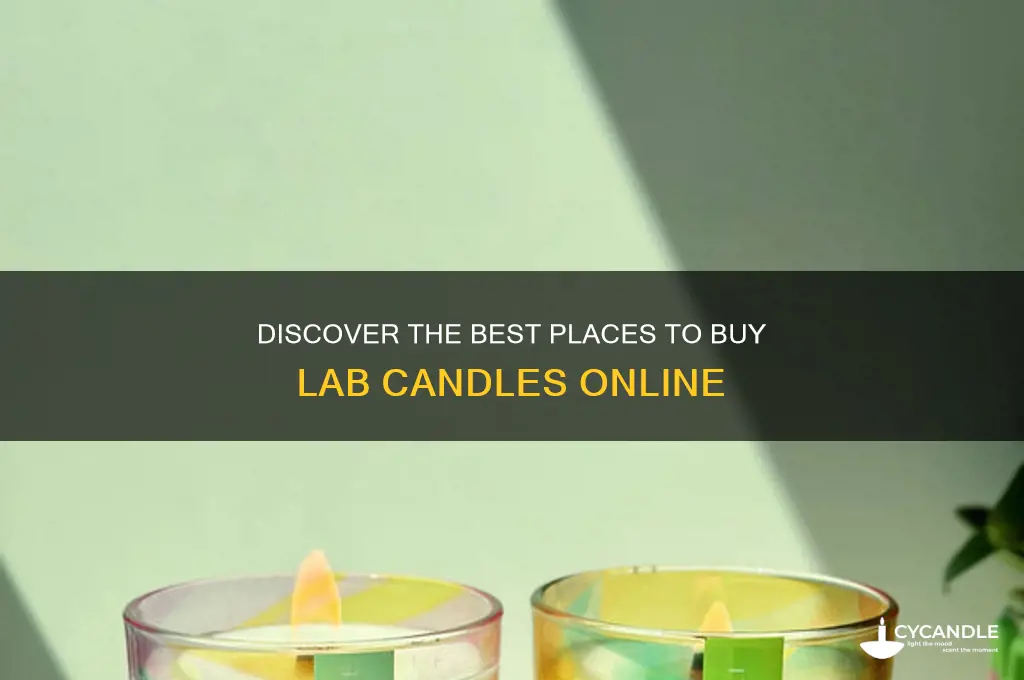 where can i buy lab candles