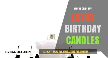 Where to Buy Lotus Birthday Candles: Top Retailers and Online Stores