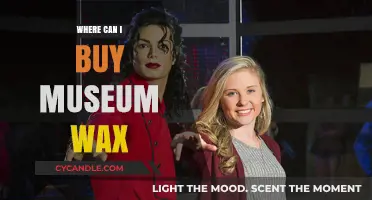 Where to Buy Museum Wax: Top Retailers and Online Sources