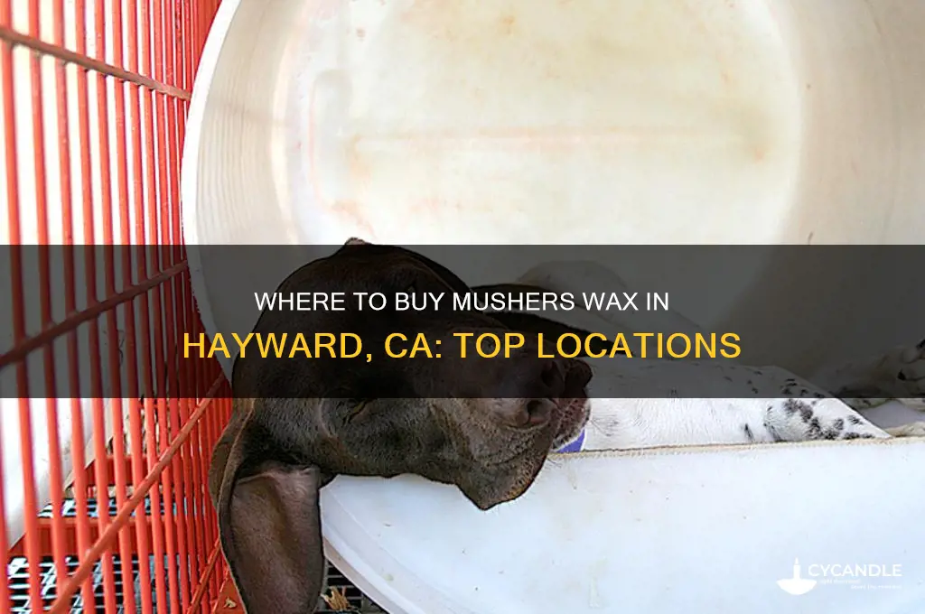 where can i buy mushers wax hayward ca