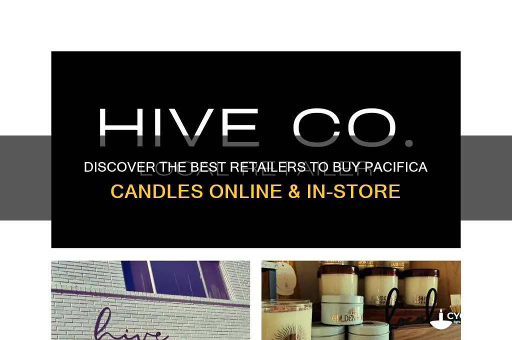 where can i buy pacifica candles