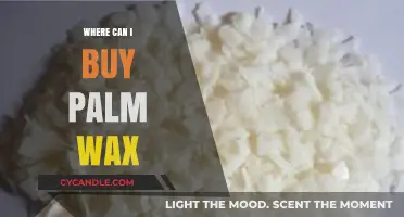 Where to Buy Palm Wax: Top Suppliers and Online Stores