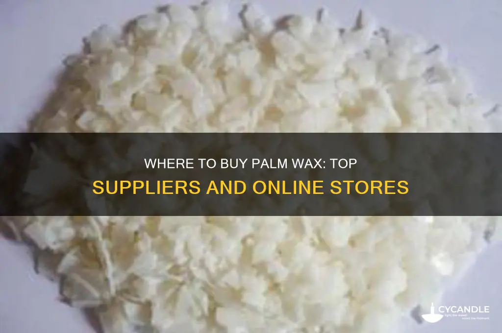 where can i buy palm wax