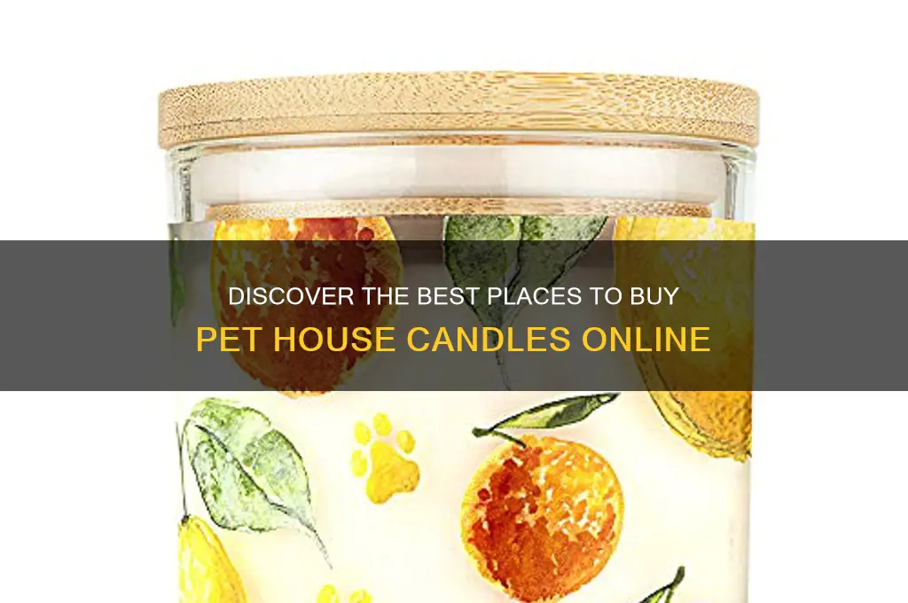 where can i buy pet house candles