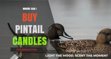 Discover the Best Places to Buy Pintail Candles Online & In-Store