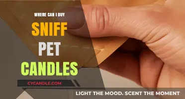 Discover the Best Places to Buy Sniff Pet Candles Online