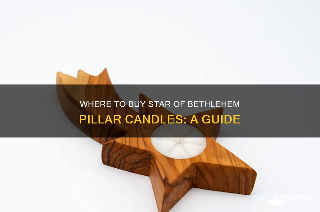 where can i buy star of bethlehem pillar candles