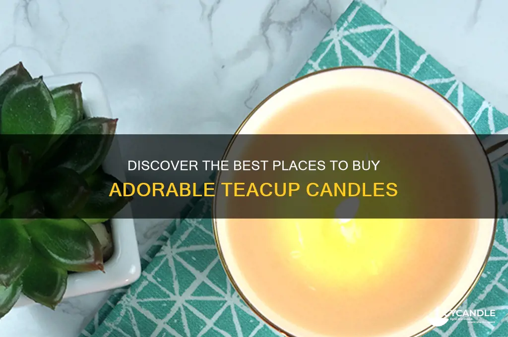 where can i buy teacup candles