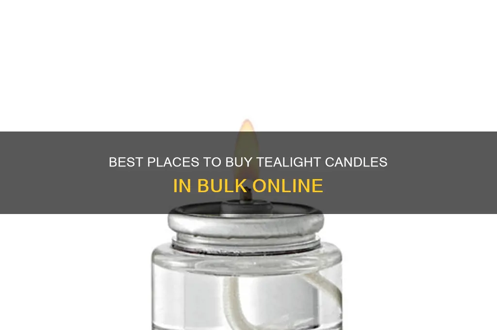 where can i buy tealight candles in bulk