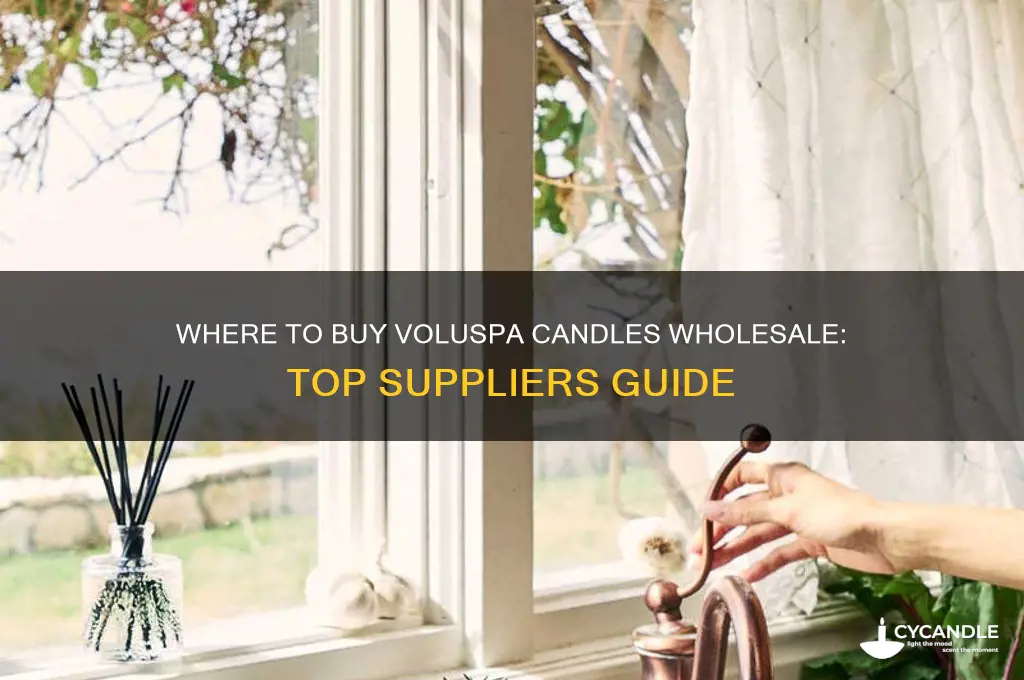 where can i buy voluspa candles wholesale