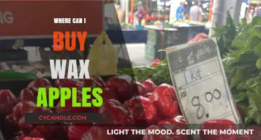 Discover the Best Places to Buy Wax Apples Near You