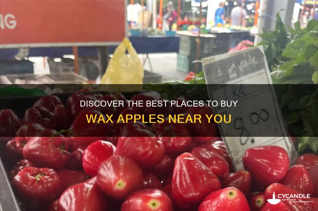 where can i buy wax apples