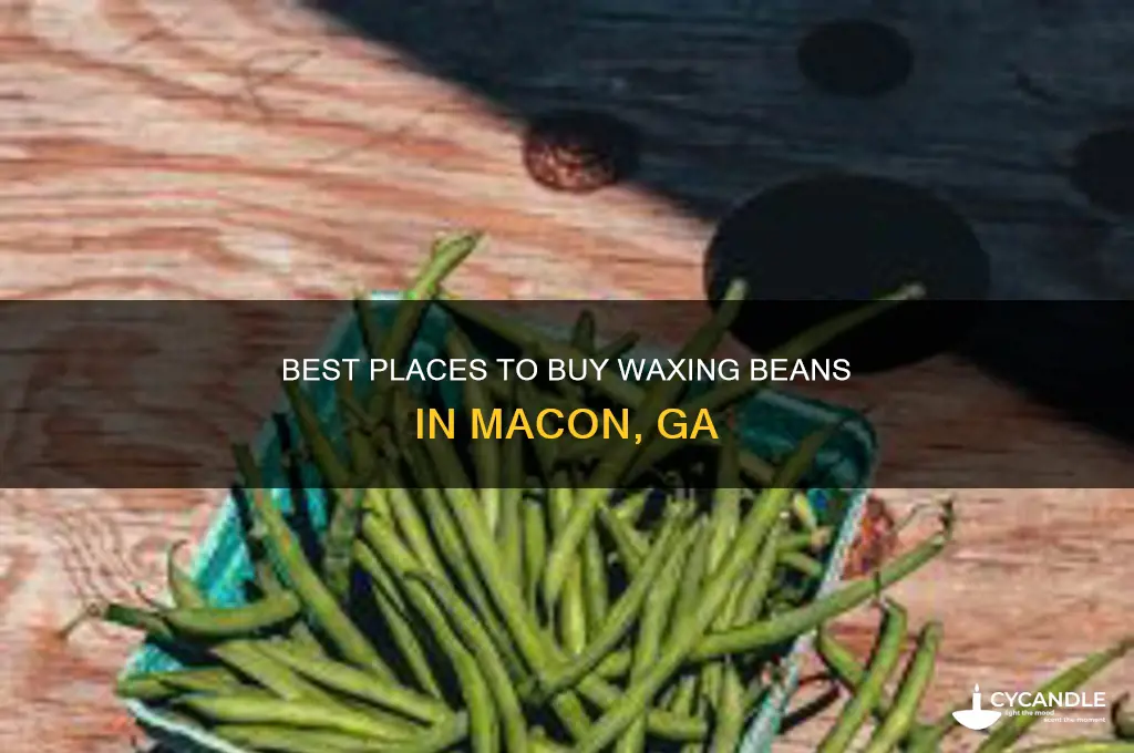 where can i buy waxing beans in macon ga