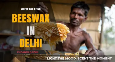 Discover Beeswax Suppliers in Delhi: Your Ultimate Shopping Guide