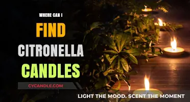 Discover the Best Places to Buy Citronella Candles for Outdoor Use