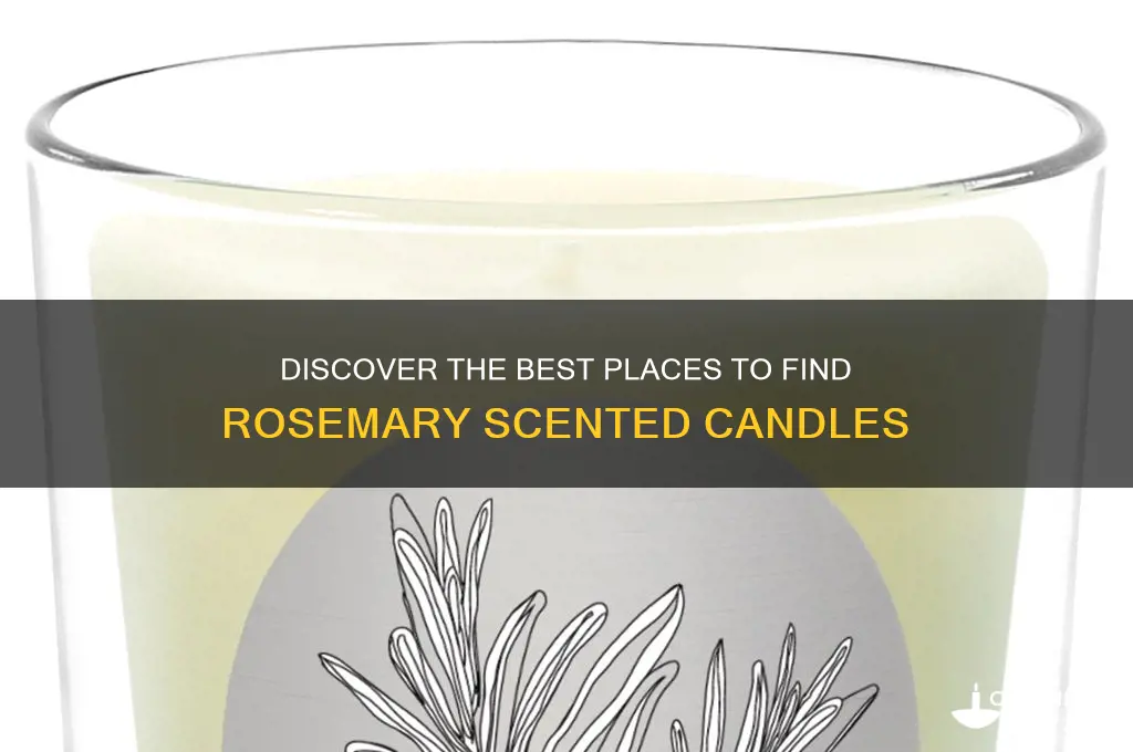 where can i find rosemary candle
