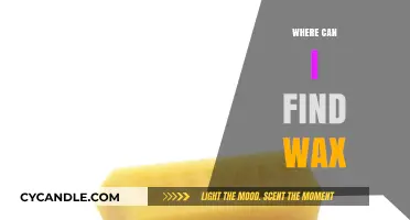 Discovering Wax: Top Sources and Locations to Find It Easily