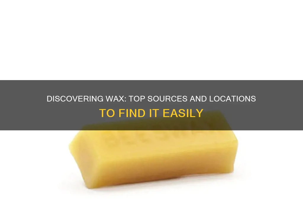 where can i find wax
