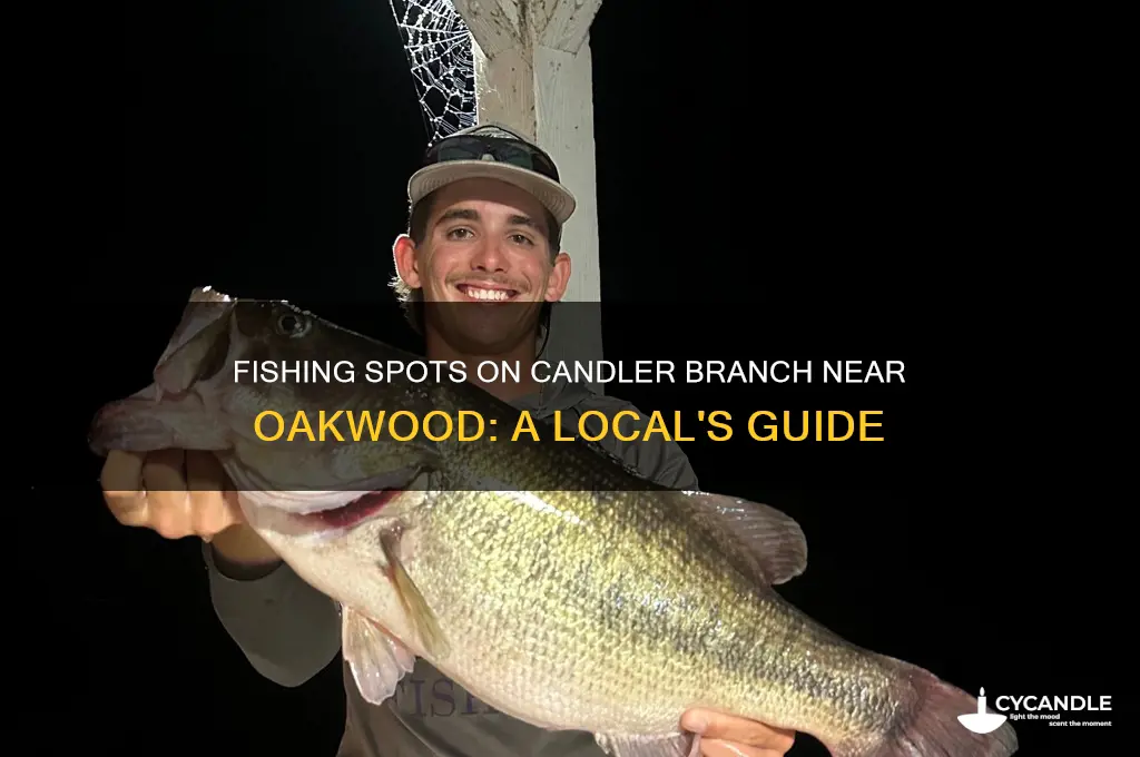 where can i fish candler branch near oakwood