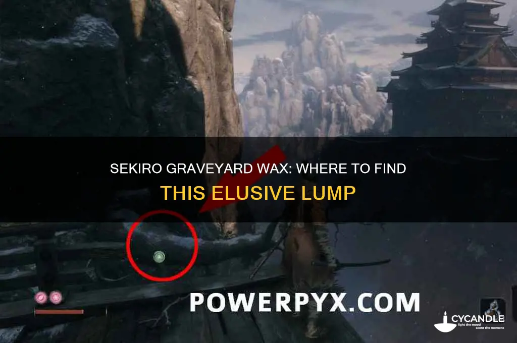 where can i get a lump of graveyard wax sekiro