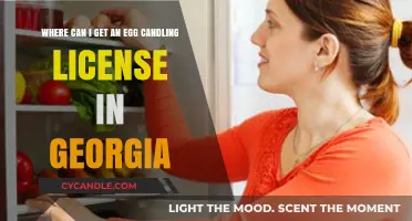 Georgia Egg Candling License: Where to Obtain Certification Guide