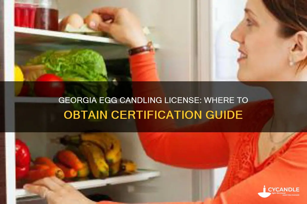 where can i get an egg candling license in georgia
