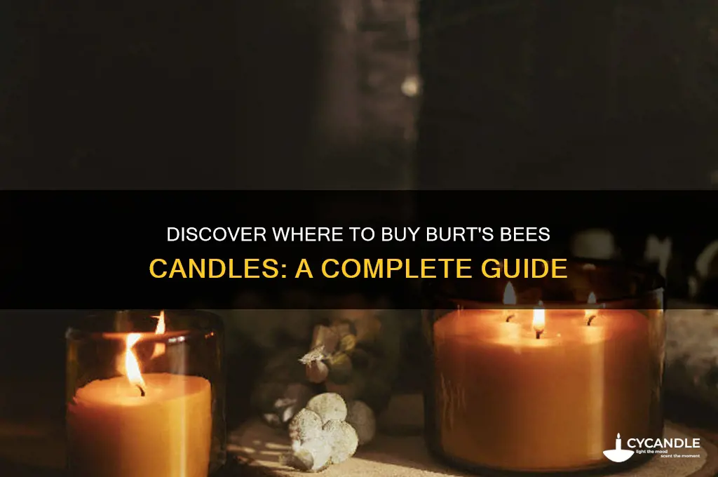 where can i get burt