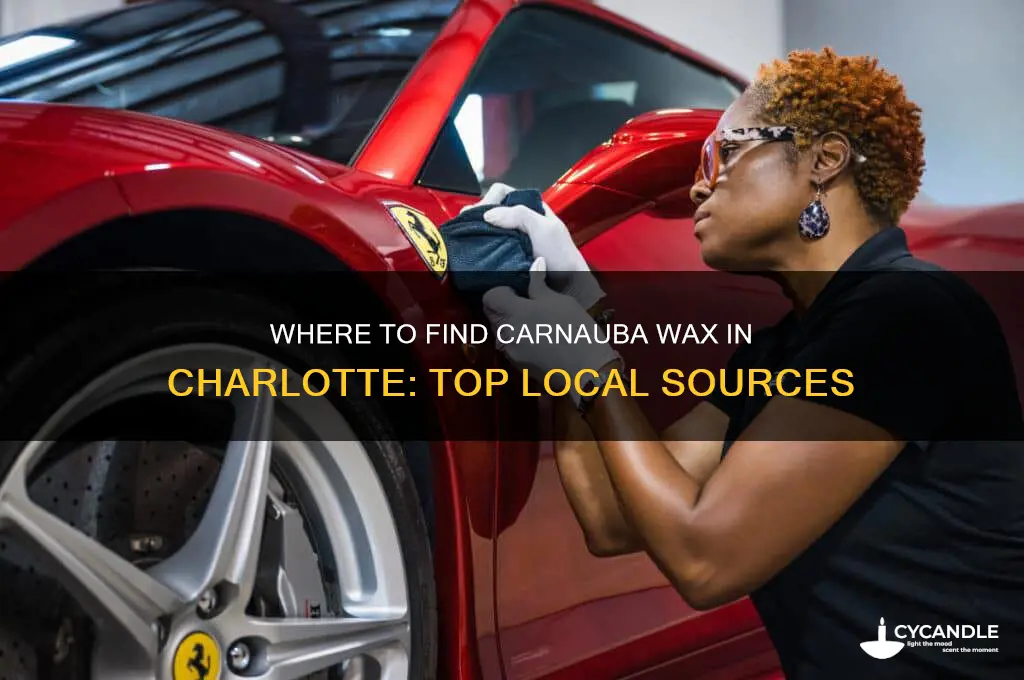where can i get carnauba wax in charlotte