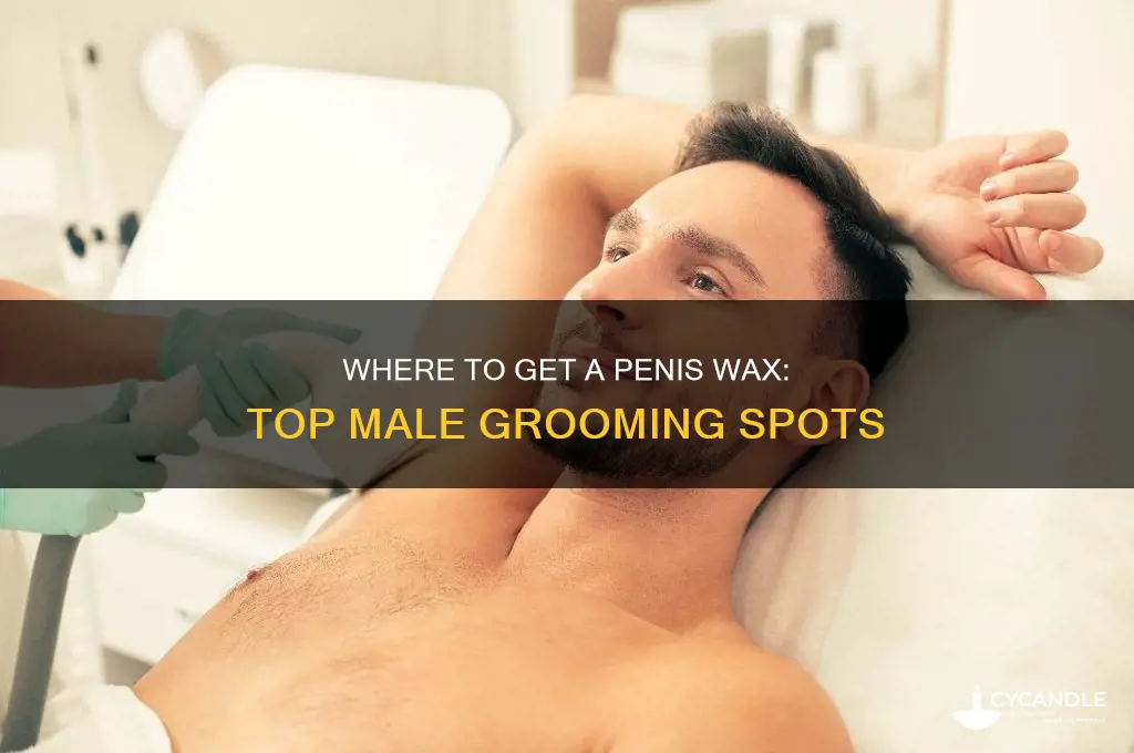 where can i get my penis waxed