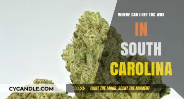 Where to Find THC Wax in South Carolina: Legal Options Explored