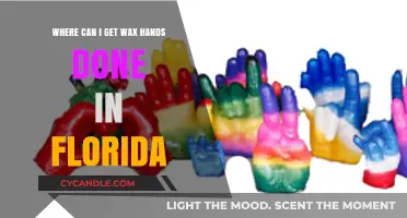 Discover Florida's Best Wax Hand Locations: A Fun Guide