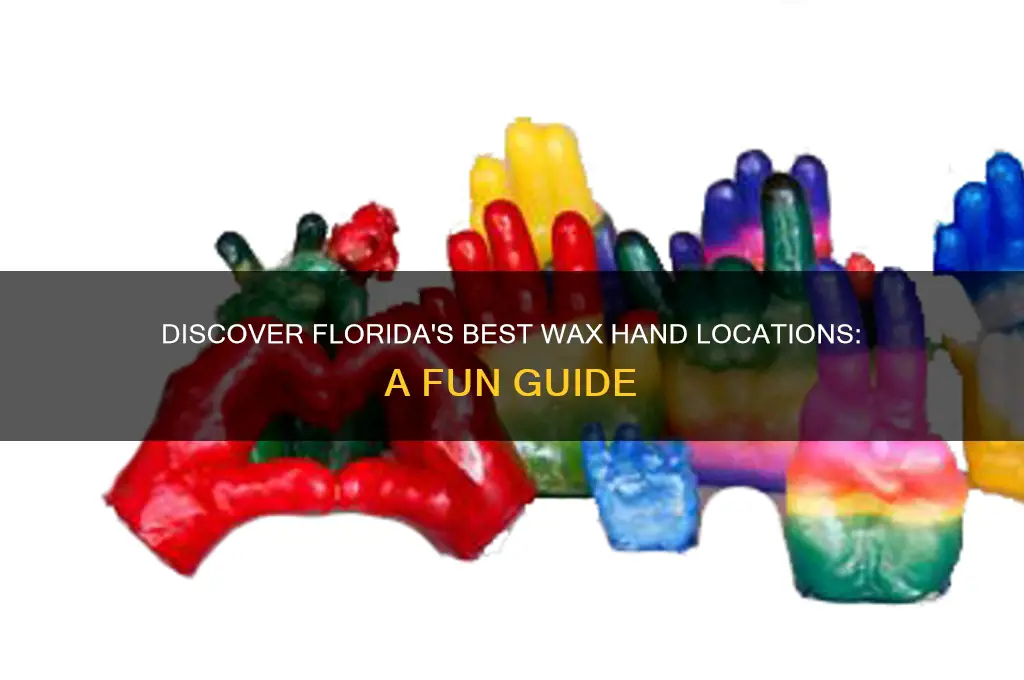 where can i get wax hands done in florida