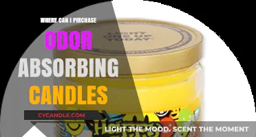 Best Places to Buy Odor-Absorbing Candles for Fresh Spaces