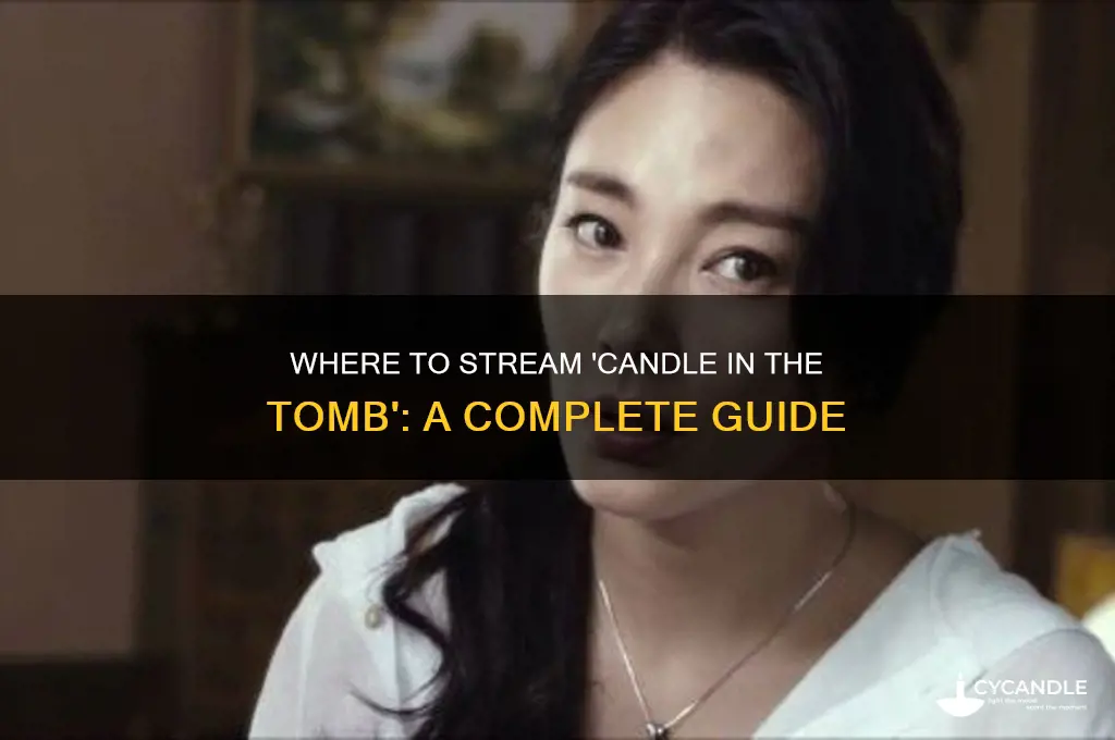 where can i watch candle in the tomb